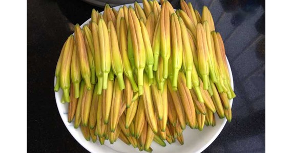 用黃花菜烘干機(jī)烘干后的黃花菜好吃嗎？